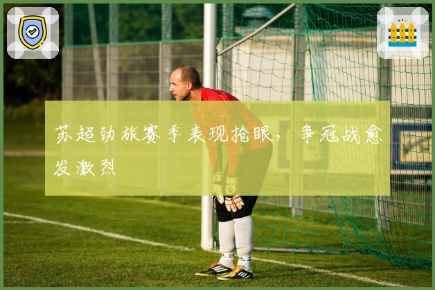 苏超劲旅赛季表现抢眼,争冠战愈发激烈